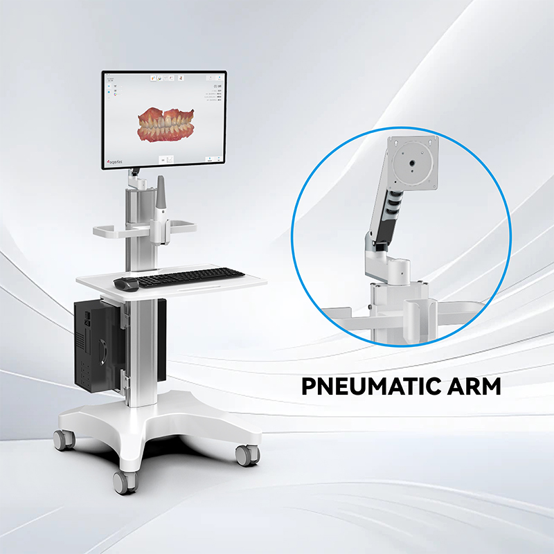 Pneumatic Arm  Pneumatic Arm