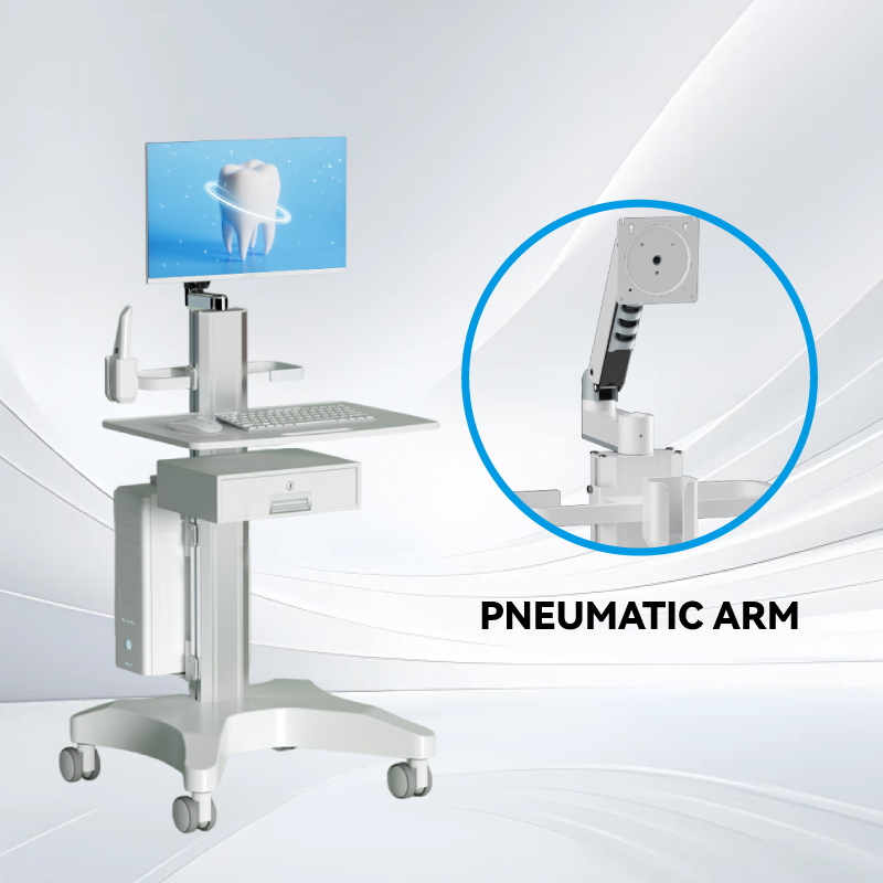 Pneumatic Arm Pneumatic Arm
