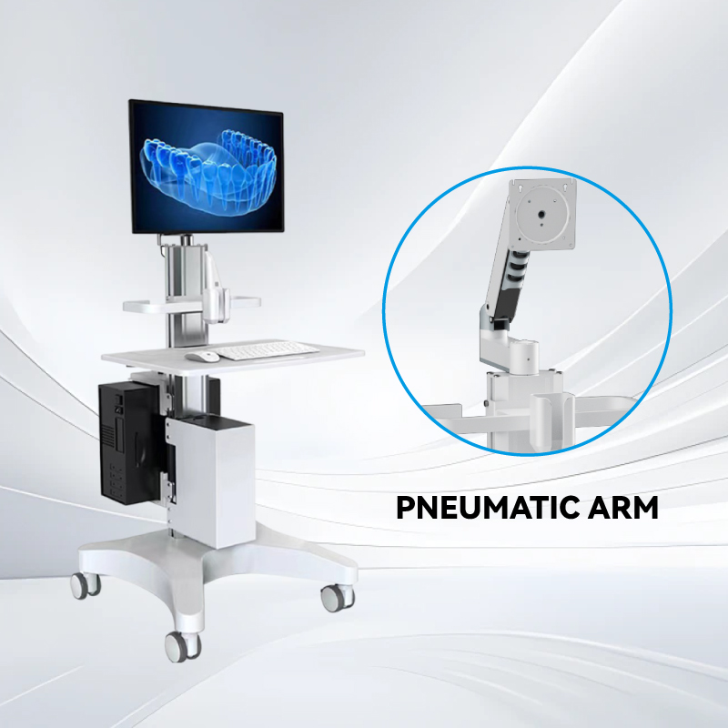 Pneumatic Arm Pneumatic Arm